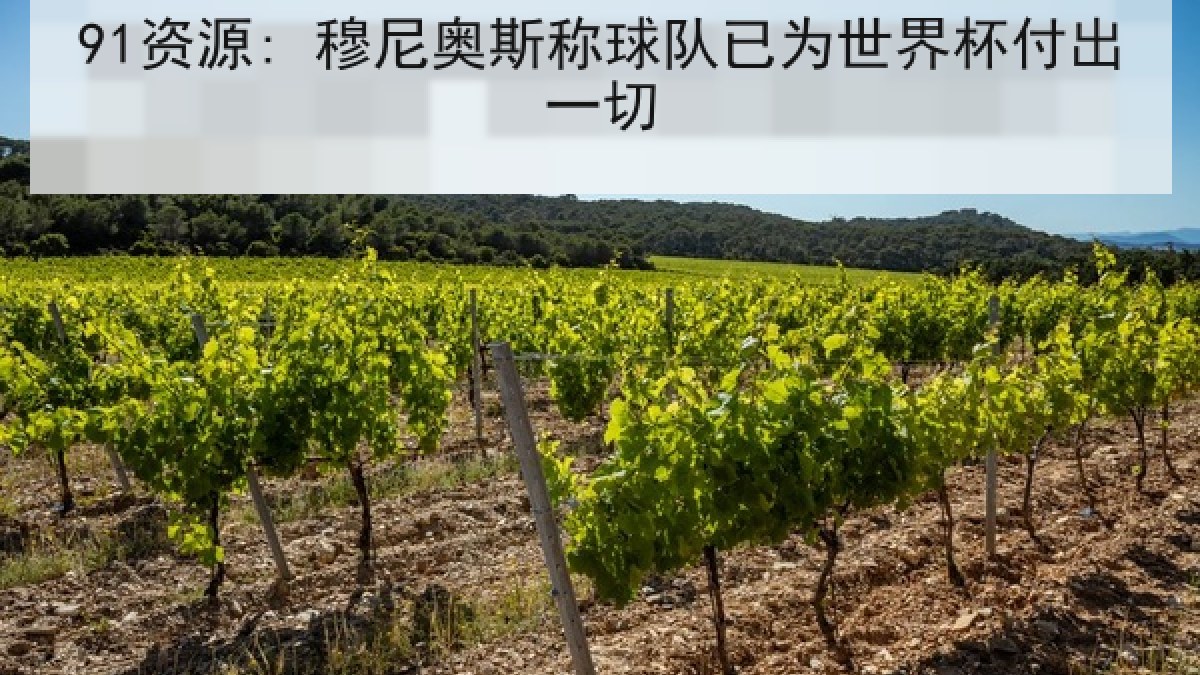 91资源: 穆尼奥斯称球队已为世界杯付出一切