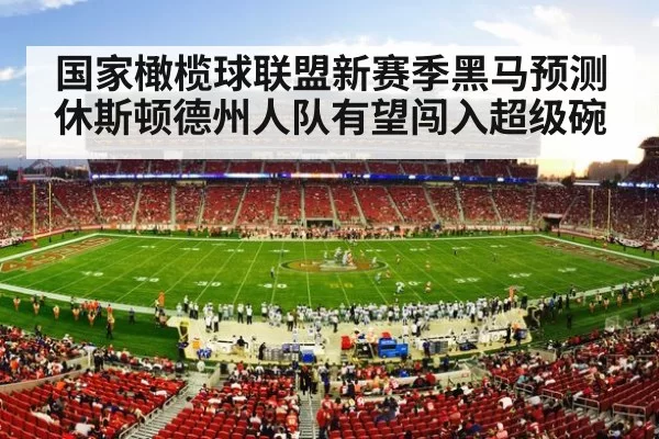国家橄榄球联盟新赛季黑马预测休斯顿德州人队有望闯入超级碗