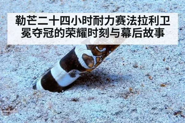 勒芒二十四小时耐力赛法拉利卫冕夺冠的荣耀时刻与幕后故事