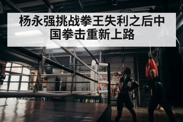 boxer training