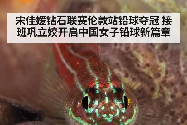 宋佳媛钻石联赛伦敦站铅球夺冠 接班巩立姣开启中国女子铅球新篇章