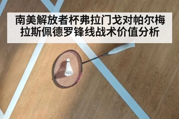 南美解放者杯弗拉门戈对帕尔梅拉斯佩德罗锋线战术价值分析